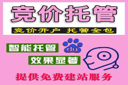 成功案例揭秘：SEM竞价培训在电商行业的运用